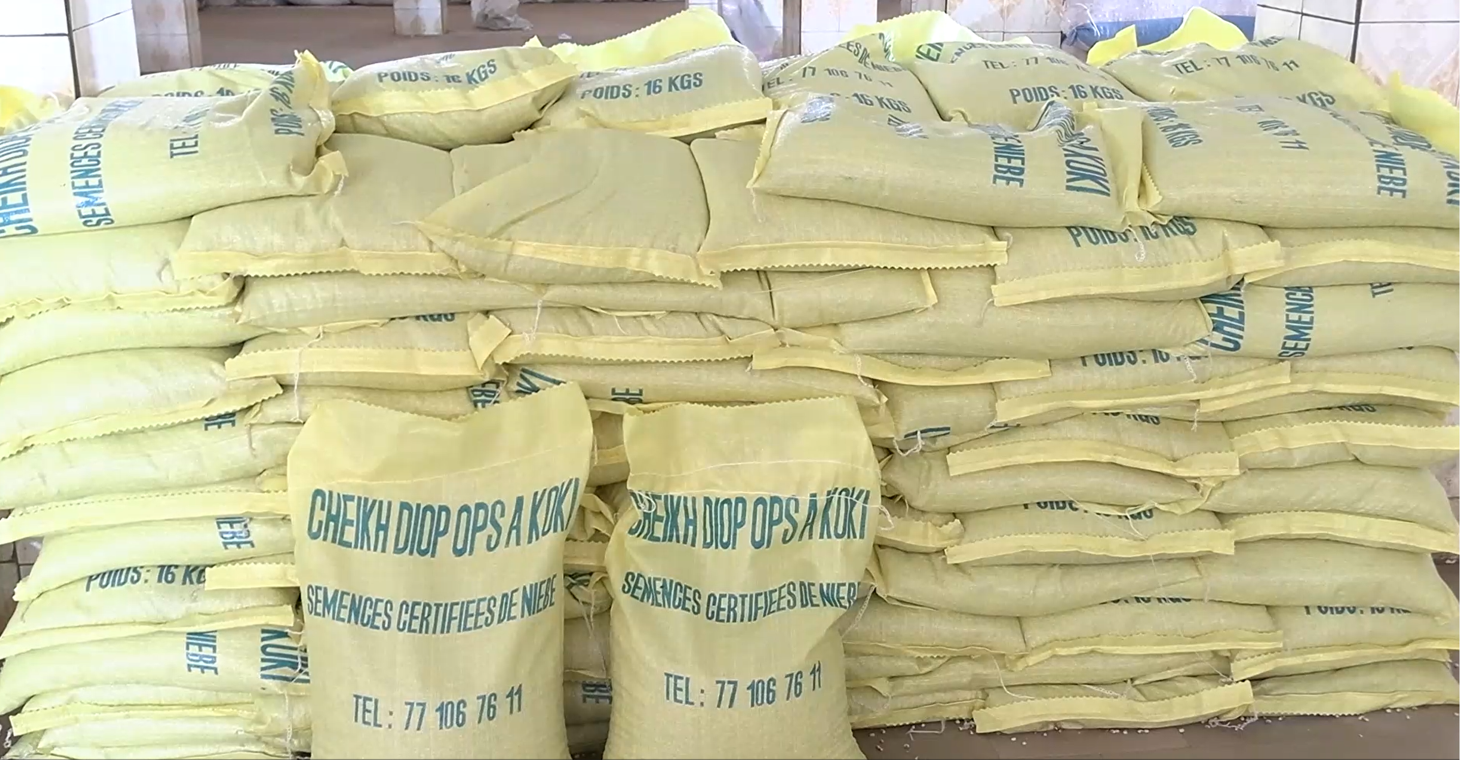 9ème édition du programme 3P de l’opérateur économique Cheikh DIOP